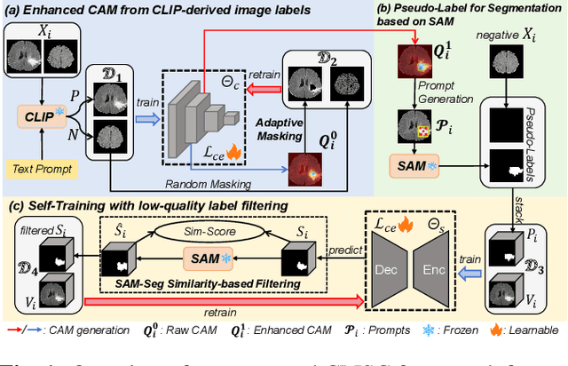 Figure 1 for CLISC: Bridging clip and sam by enhanced cam for unsupervised brain tumor segmentation