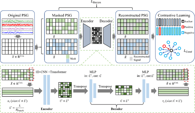 Figure 2 for PSG-MAE: Robust Multitask Sleep Event Monitoring using Multichannel PSG Reconstruction and Inter-channel Contrastive Learning