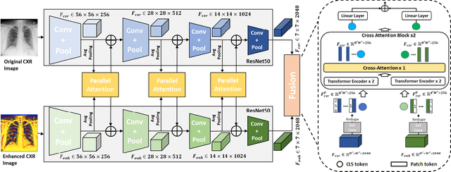 Figure 3 for Multi-Scale Feature Fusion using Parallel-Attention Block for COVID-19 Chest X-ray Diagnosis