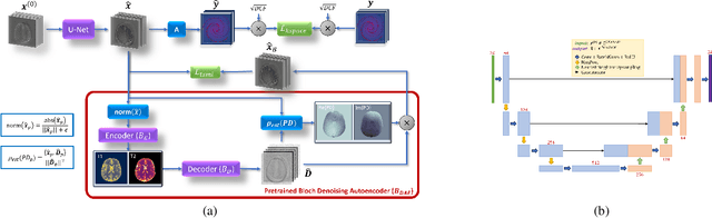 Figure 1 for Deep Image Priors for Magnetic Resonance Fingerprinting with pretrained Bloch-consistent denoising autoencoders