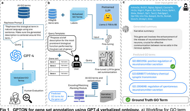 Figure 1 for GPTON: Generative Pre-trained Transformers enhanced with Ontology Narration for accurate annotation of biological data