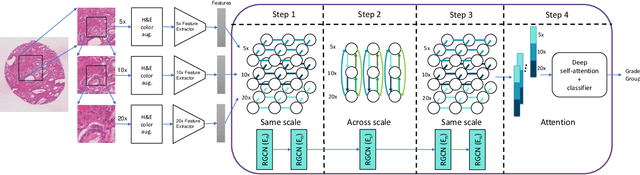 Figure 1 for Multi-Scale Relational Graph Convolutional Network for Multiple Instance Learning in Histopathology Images