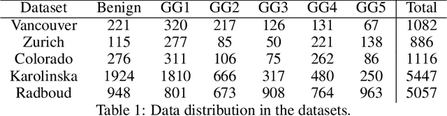 Figure 2 for Multi-Scale Relational Graph Convolutional Network for Multiple Instance Learning in Histopathology Images