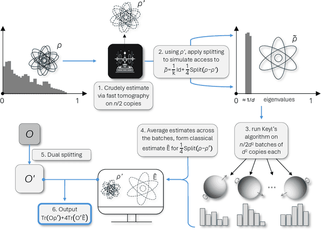 Figure 1 for Optimal high-precision shadow estimation