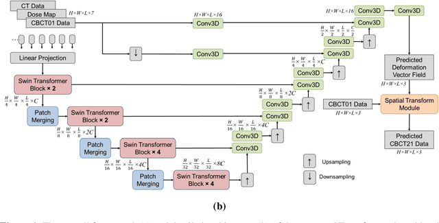 Figure 1 for TransAnaNet: Transformer-based Anatomy Change Prediction Network for Head and Neck Cancer Patient Radiotherapy