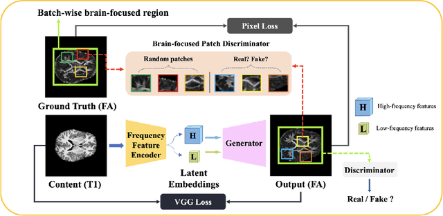 Figure 1 for Macro2Micro: Cross-modal Magnetic Resonance Imaging Synthesis Leveraging Multi-scale Brain Structures