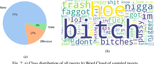 Figure 2 for Explaining Hate Speech Classification with Model Agnostic Methods