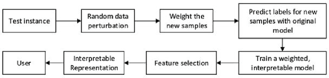 Figure 3 for Explaining Hate Speech Classification with Model Agnostic Methods