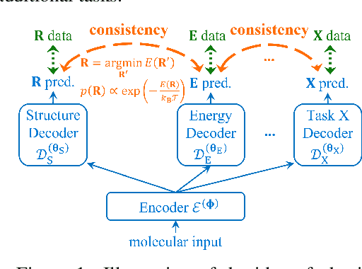 Figure 1 for Physical Consistency Bridges Heterogeneous Data in Molecular Multi-Task Learning