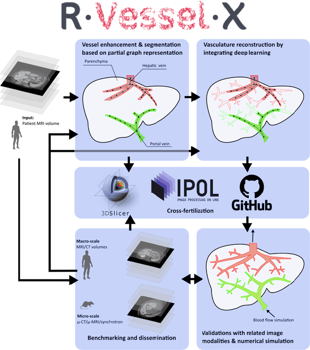 Figure 1 for The R-Vessel-X Project