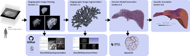 Figure 3 for The R-Vessel-X Project