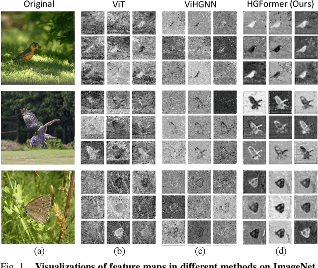 Figure 1 for HGFormer: Topology-Aware Vision Transformer with HyperGraph Learning