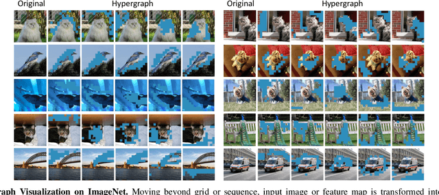 Figure 2 for HGFormer: Topology-Aware Vision Transformer with HyperGraph Learning