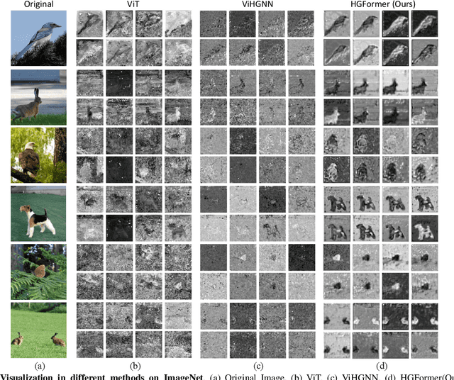 Figure 4 for HGFormer: Topology-Aware Vision Transformer with HyperGraph Learning