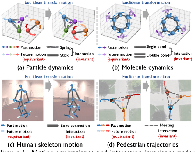 Figure 1 for EqMotion: Equivariant Multi-agent Motion Prediction with Invariant Interaction Reasoning