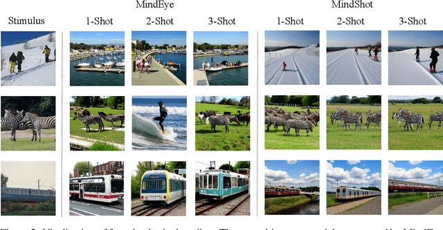 Figure 3 for MindShot: Brain Decoding Framework Using Only One Image