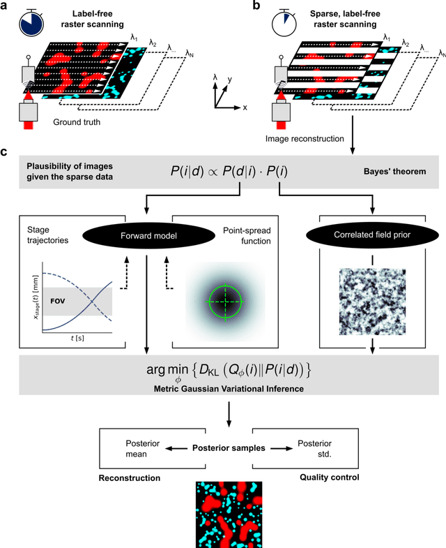 Figure 1 for Bayesian reconstruction of sparse raster-scanned mid-infrared optoacoustic signals enables fast, label-free chemical microscopy