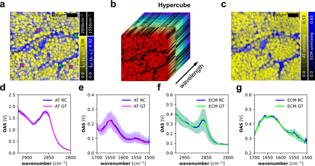 Figure 4 for Bayesian reconstruction of sparse raster-scanned mid-infrared optoacoustic signals enables fast, label-free chemical microscopy