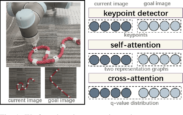 Figure 1 for Deep Reinforcement Learning Based on Local GNN for Goal-conditioned Deformable Object Rearranging