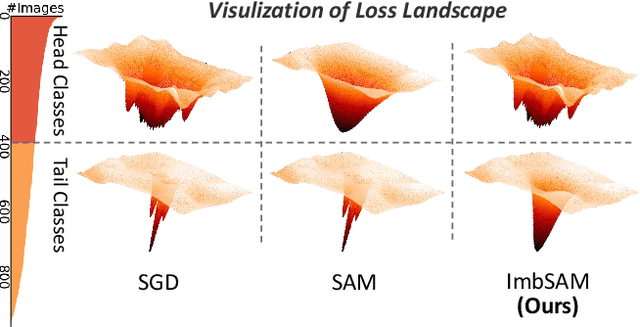 Figure 1 for ImbSAM: A Closer Look at Sharpness-Aware Minimization in Class-Imbalanced Recognition