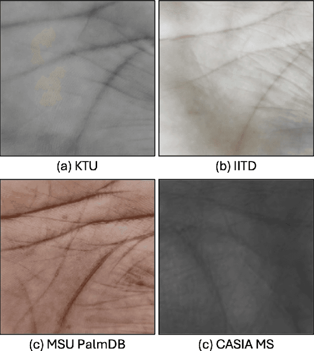 Figure 1 for GenPalm: Contactless Palmprint Generation with Diffusion Models