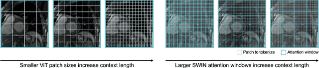 Figure 1 for A Study on Context Length and Efficient Transformers for Biomedical Image Analysis