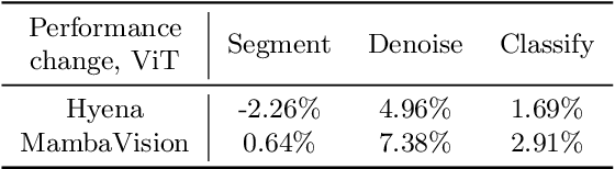 Figure 2 for A Study on Context Length and Efficient Transformers for Biomedical Image Analysis