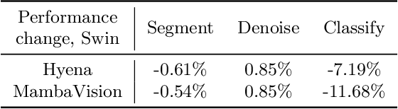 Figure 4 for A Study on Context Length and Efficient Transformers for Biomedical Image Analysis