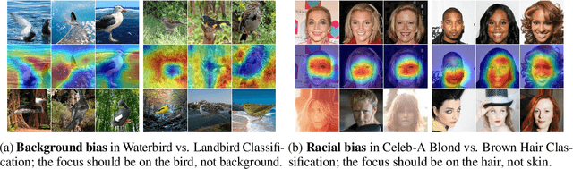 Figure 3 for Spuriosity Rankings: Sorting Data for Spurious Correlation Robustness