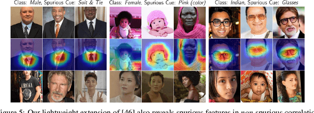 Figure 4 for Spuriosity Rankings: Sorting Data for Spurious Correlation Robustness
