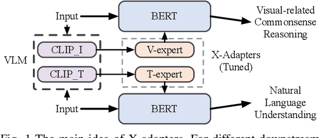 Figure 1 for Towards Versatile and Efficient Visual Knowledge Injection into Pre-trained Language Models with Cross-Modal Adapters