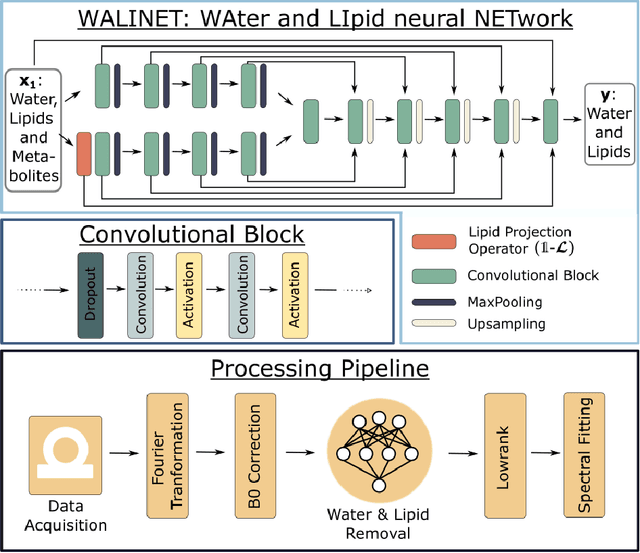 Figure 1 for WALINET: A water and lipid identification convolutional Neural Network for nuisance signal removal in 1H MR Spectroscopic Imaging