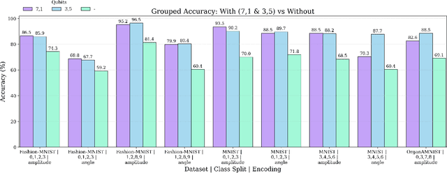 Figure 4 for Hybrid Quantum-Classical Learning for Multiclass Image Classification