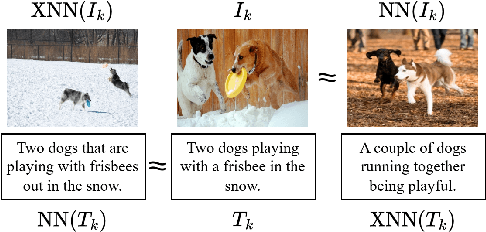 Figure 3 for CLIP-PING: Boosting Lightweight Vision-Language Models with Proximus Intrinsic Neighbors Guidance