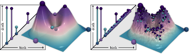 Figure 2 for A Practical Solver for Scalar Data Topological Simplification