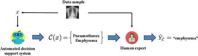 Figure 1 for Designing Decision Support Systems Using Counterfactual Prediction Sets