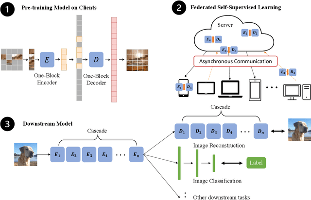 Figure 3 for FedMAE: Federated Self-Supervised Learning with One-Block Masked Auto-Encoder