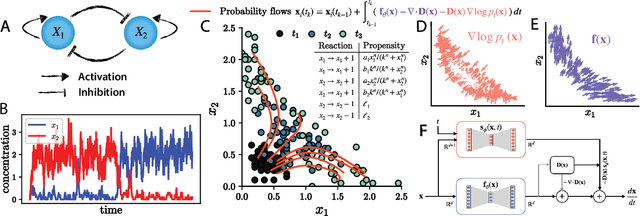 Figure 1 for Inferring biological processes with intrinsic noise from cross-sectional data