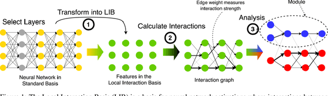 Figure 1 for The Local Interaction Basis: Identifying Computationally-Relevant and Sparsely Interacting Features in Neural Networks