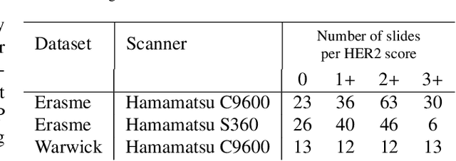 Figure 2 for Interpretable HER2 scoring by evaluating clinical Guidelines through a weakly supervised, constrained Deep Learning Approach