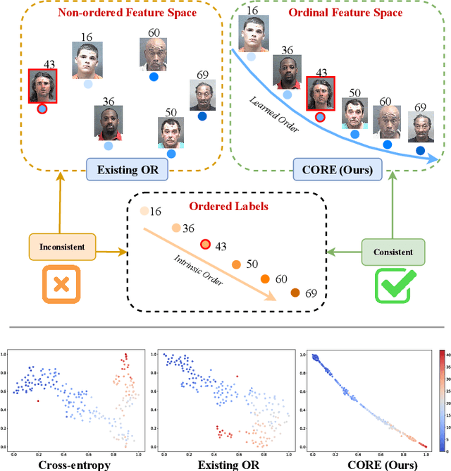 Figure 1 for CORE: Learning Consistent Ordinal REpresentations for Image Ordinal Estimation