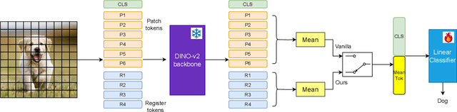 Figure 2 for Leveraging Registers in Vision Transformers for Robust Adaptation