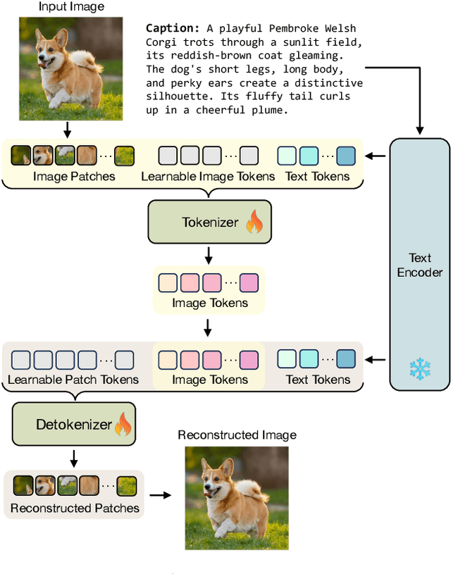 Figure 2 for Language-Guided Image Tokenization for Generation