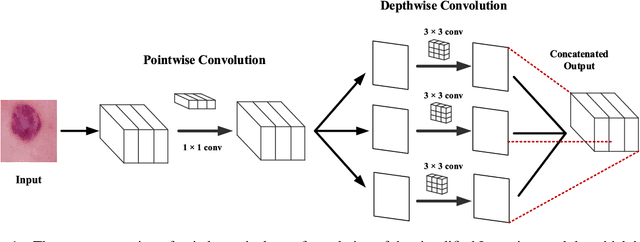 Figure 1 for Bilinear-Convolutional Neural Network Using a Matrix Similarity-based Joint Loss Function for Skin Disease Classification