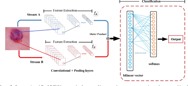 Figure 3 for Bilinear-Convolutional Neural Network Using a Matrix Similarity-based Joint Loss Function for Skin Disease Classification