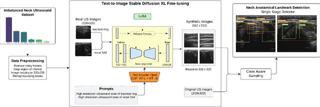 Figure 1 for T2ID-CAS: Diffusion Model and Class Aware Sampling to Mitigate Class Imbalance in Neck Ultrasound Anatomical Landmark Detection