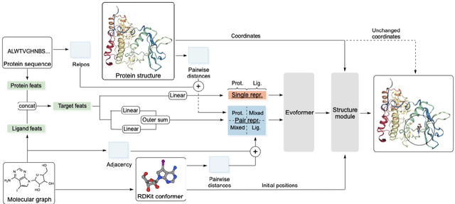 Figure 1 for QuickBind: A Light-Weight And Interpretable Molecular Docking Model