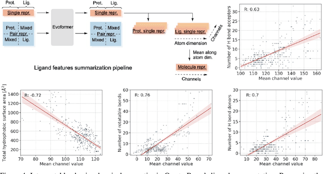 Figure 4 for QuickBind: A Light-Weight And Interpretable Molecular Docking Model