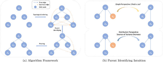 Figure 1 for Score-matching-based Structure Learning for Temporal Data on Networks