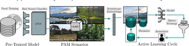 Figure 1 for Towards Deep Active Learning in Avian Bioacoustics